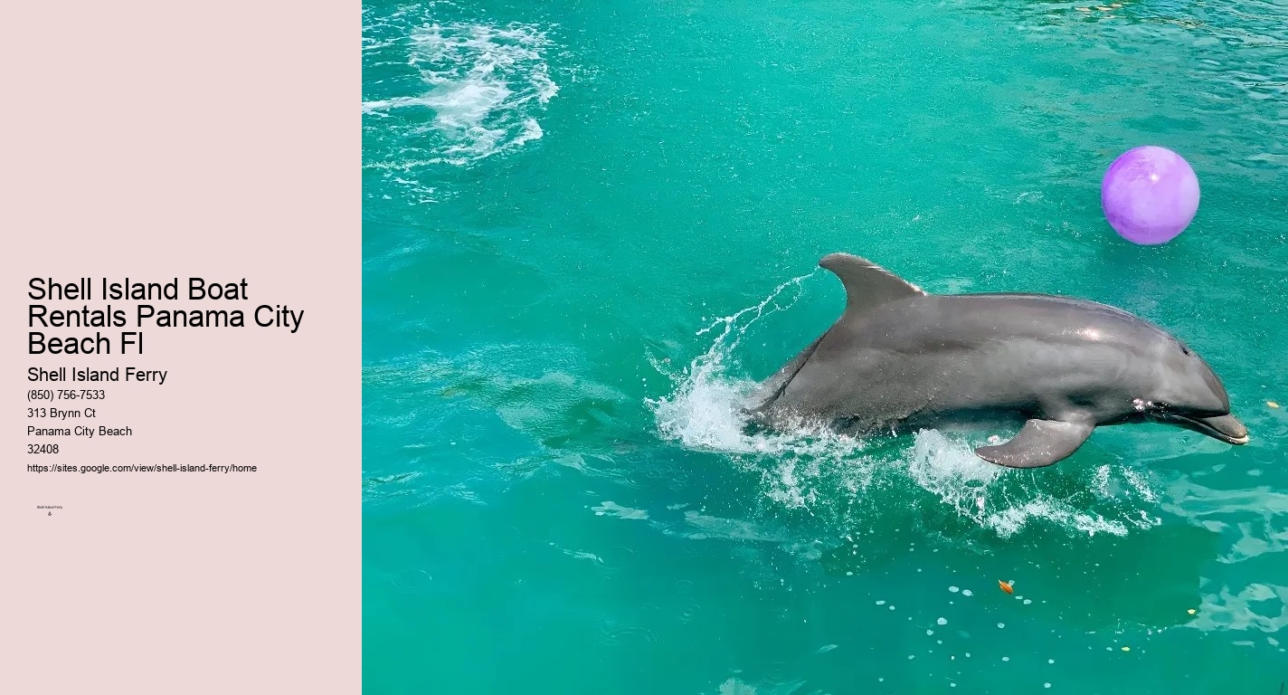 Shell Island Dolphin Tours	