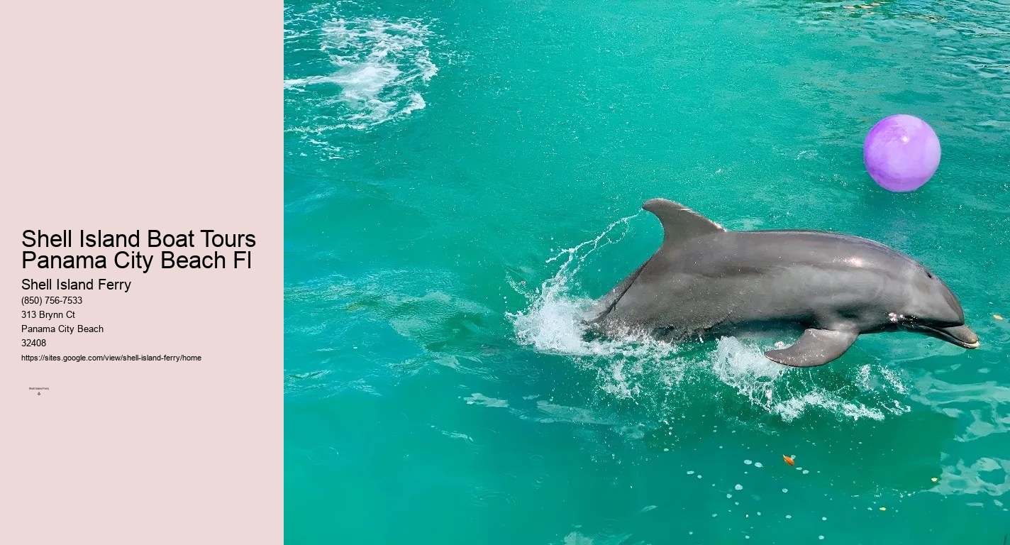 Shell Island Pontoon Rental	