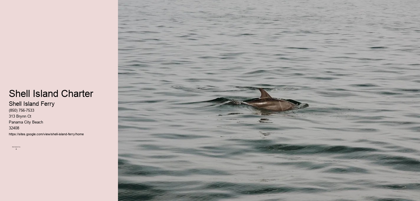 Shell Island Cruise Panama City Beach	