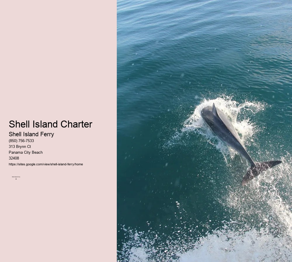 Shell Island Panama City Beach Florida	