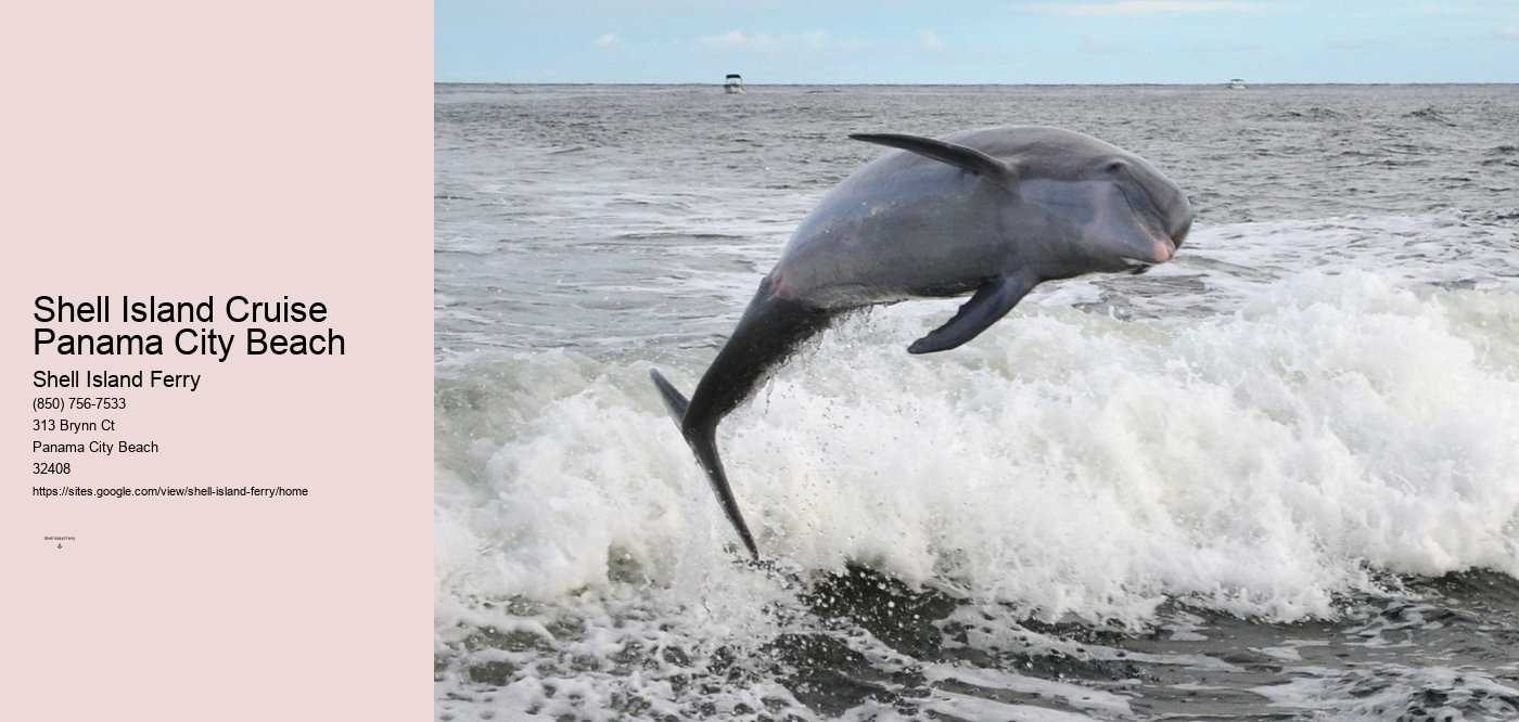 Shell Island Cruise Panama City Beach