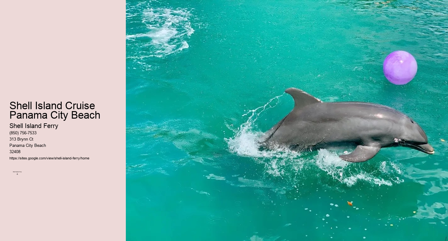 Shell Island Pontoon Rentals	