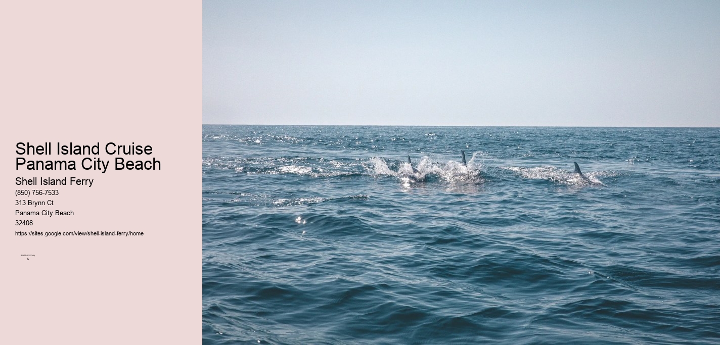 Shell Island Boat Rentals Panama City Beach	