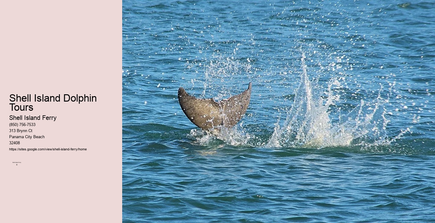 Shell Island Shuttle Panama City Beach Florida	