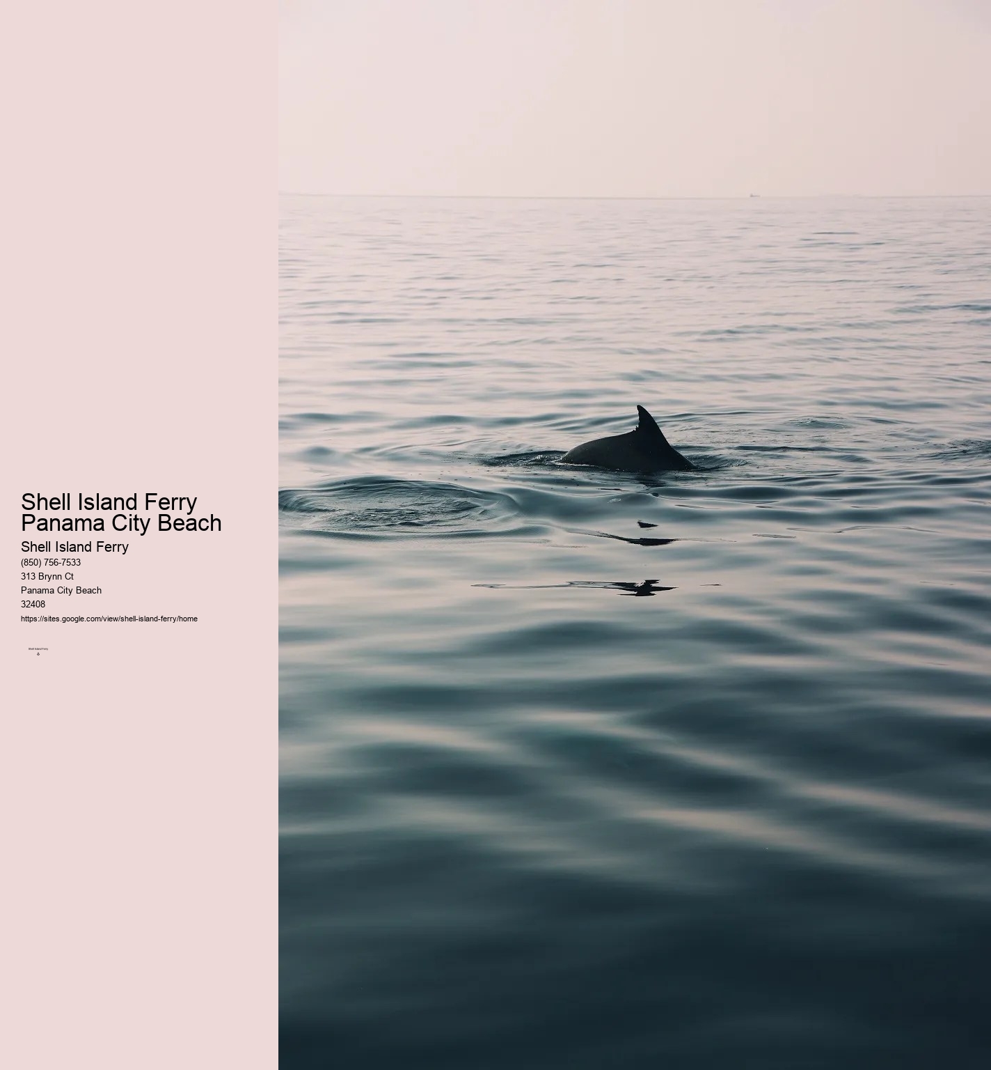 Shell Island Boat Rentals Panama City Beach Fl	