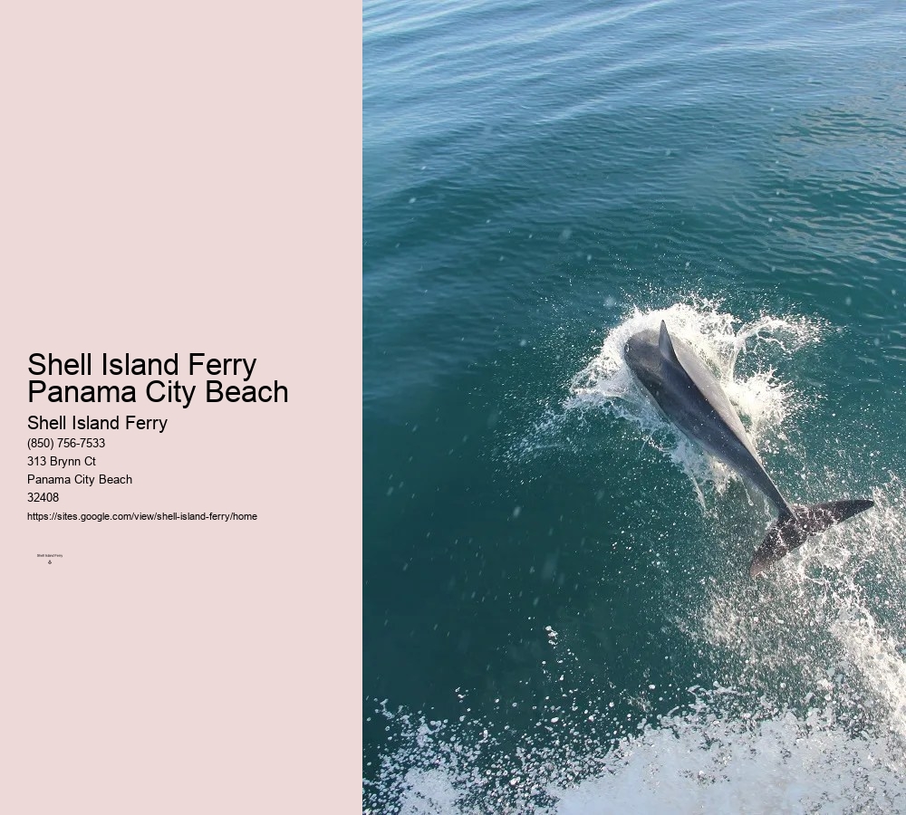 Panama Beach Shell Island	