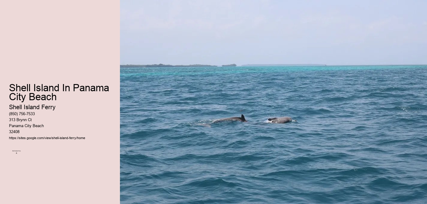 Panama City Beach Boat Tours To Shell Island	
