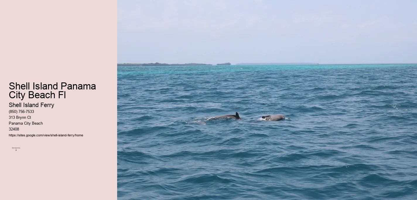 Shell Island Panama City Beach Fl	