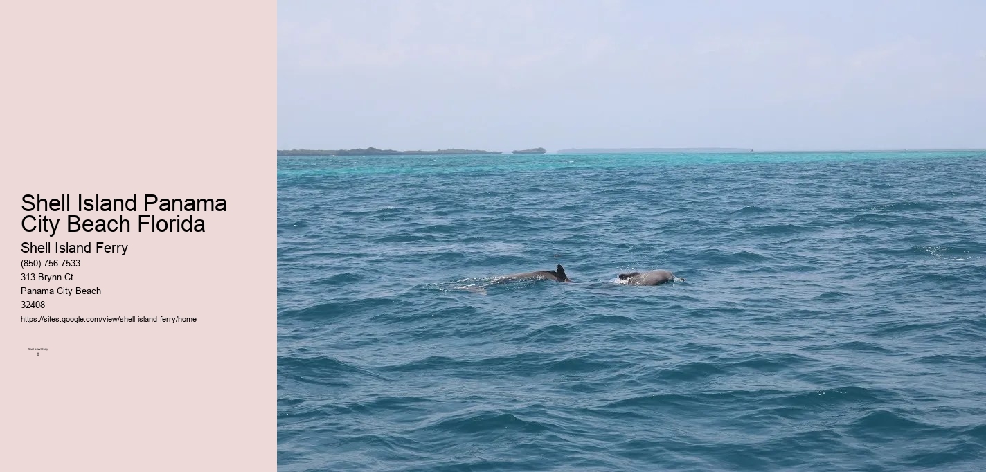 Shell Island Pontoon Rentals	