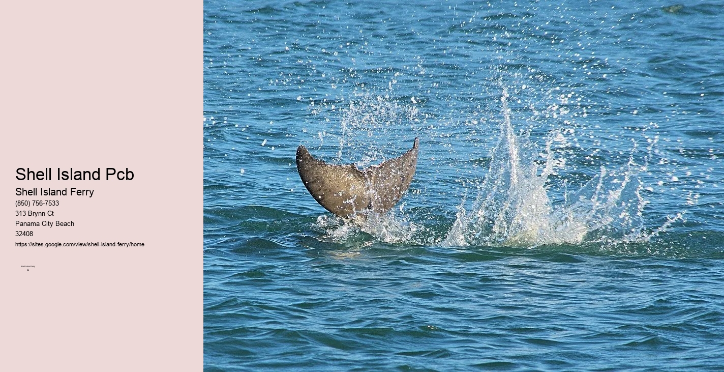 Shell Island Panama City Beach Fl	