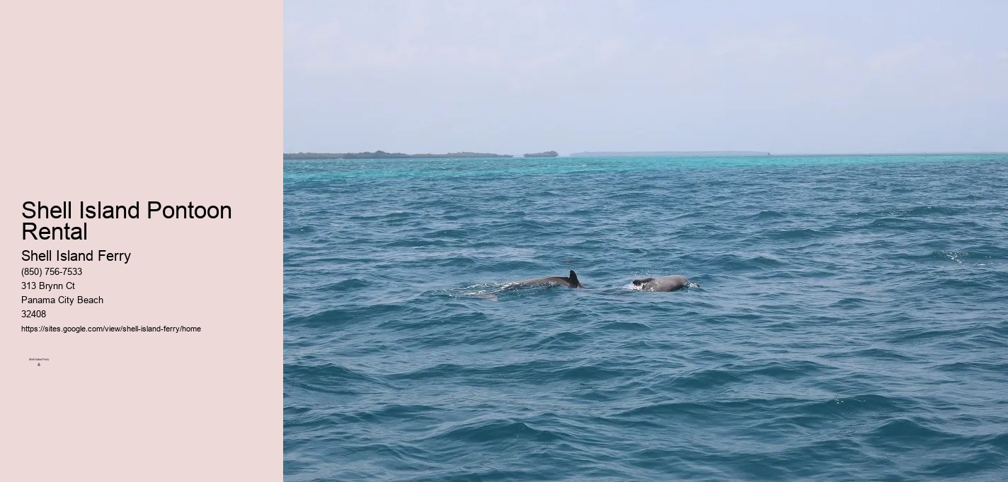 Shell Island Panama City Fl	