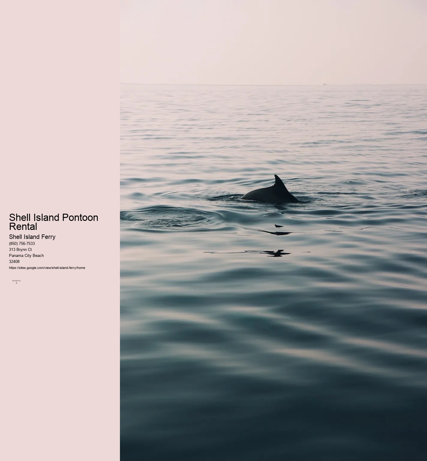 Shell Island Boat Rentals	