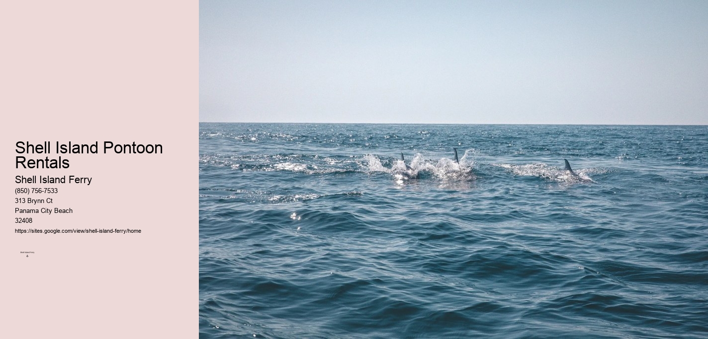 Shell Island Adventures	