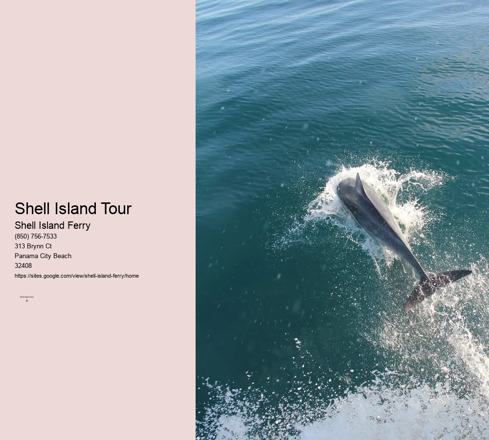 Shell Island Boat Rentals Panama City Beach Fl	