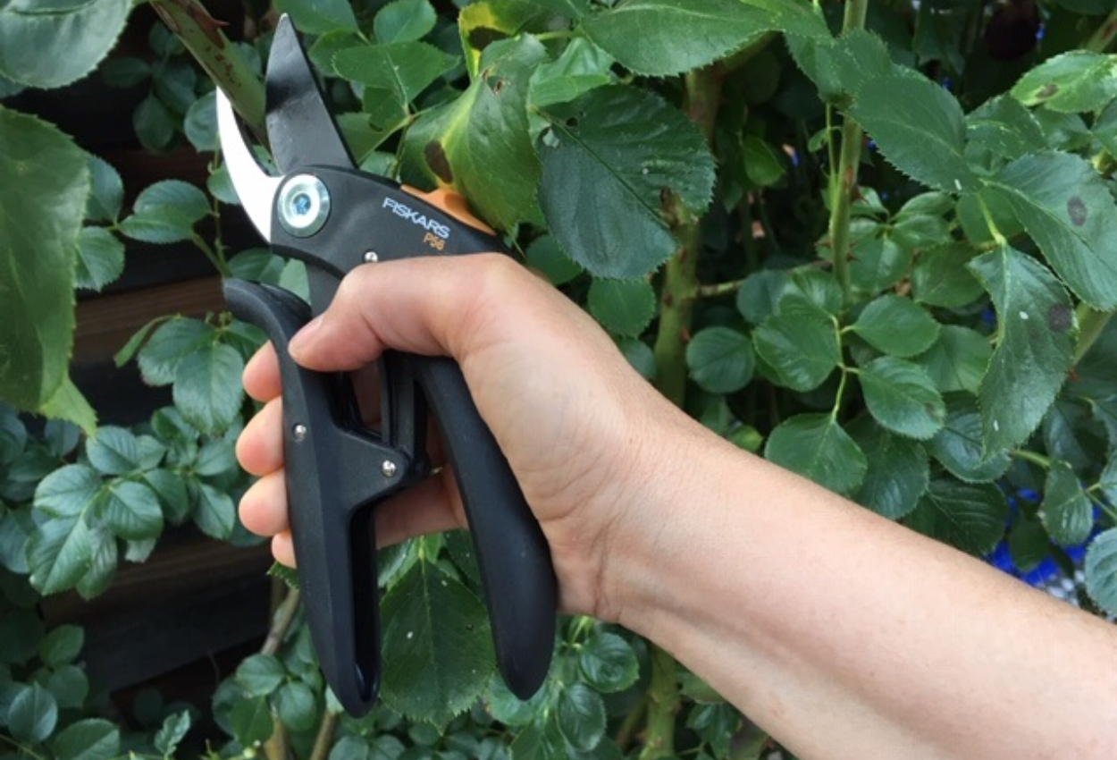 Ergonomische Gartenschere_1