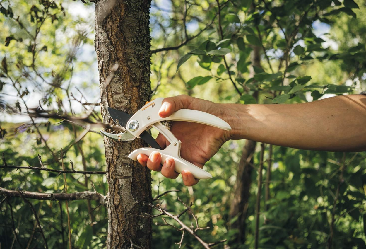 Ergonomische Gartenschere_1