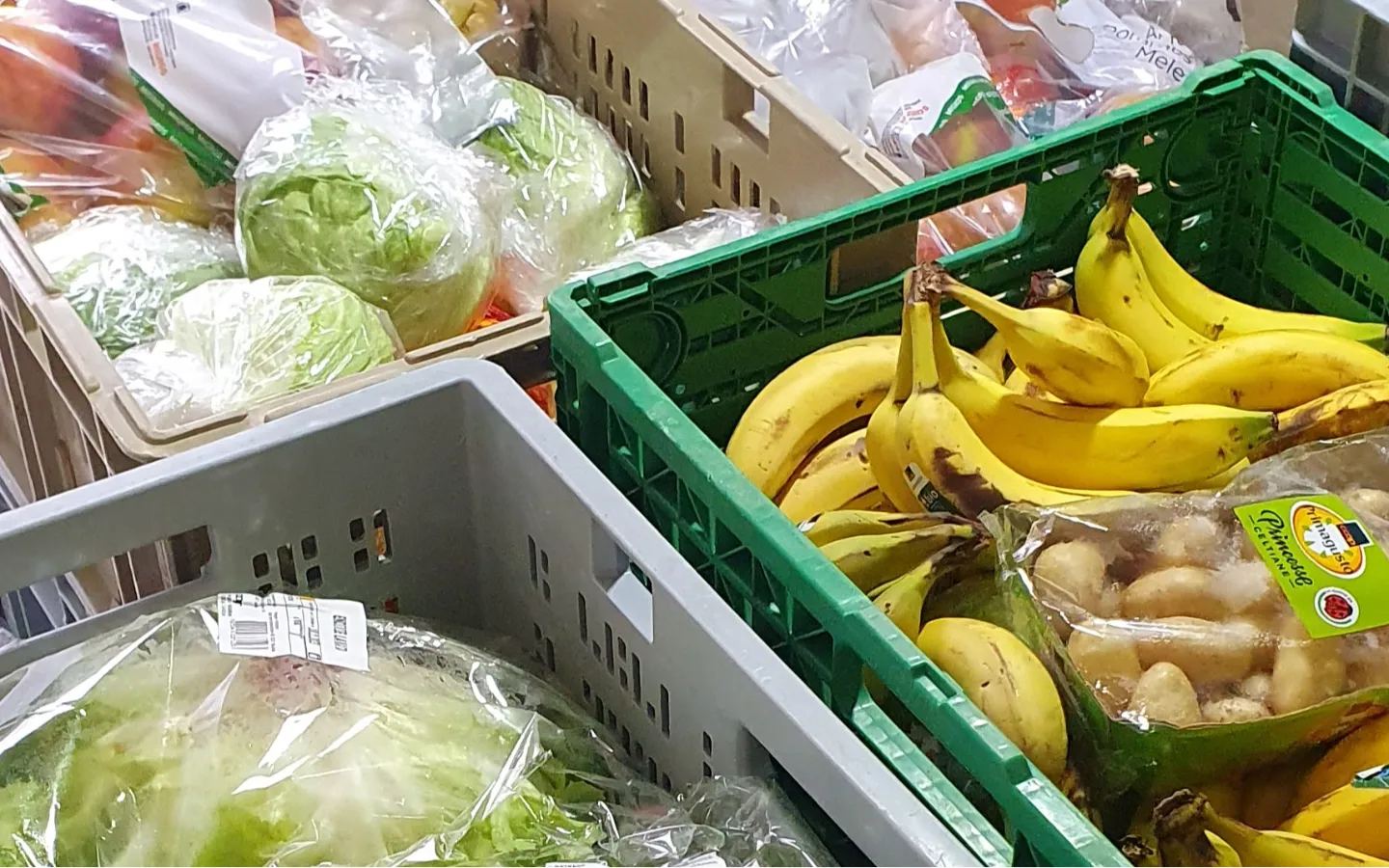 Meine erste Sammeltour - Vivien Walther