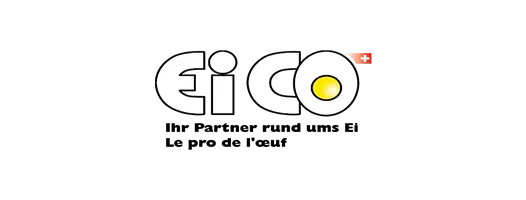 Logo EiCo