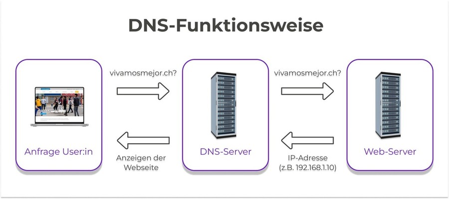 DNS-Funktionsweise am Beispiel einer NPO