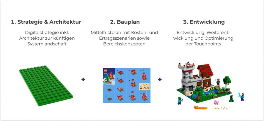 Bauplan Digitalstrategie für NPO am Beispiel Rheunaliga