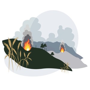 Illu Waldbrand