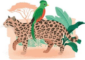 Illu Tiere im Pico Bonito