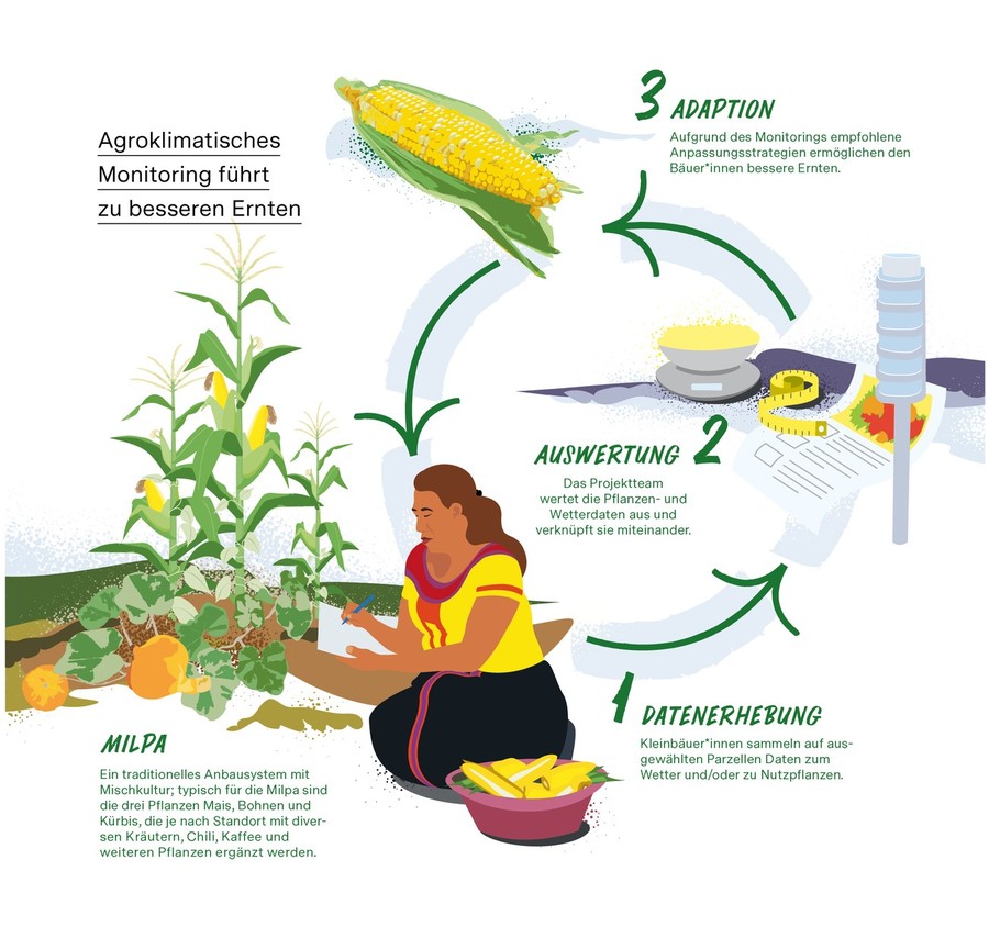 Sommer News 2024_Illustration zur Funktion des agroklimatischen Monitorings