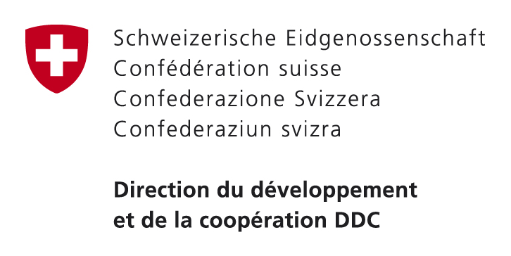Logo DDC