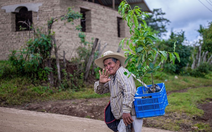 Petit agriculteur au Honduras