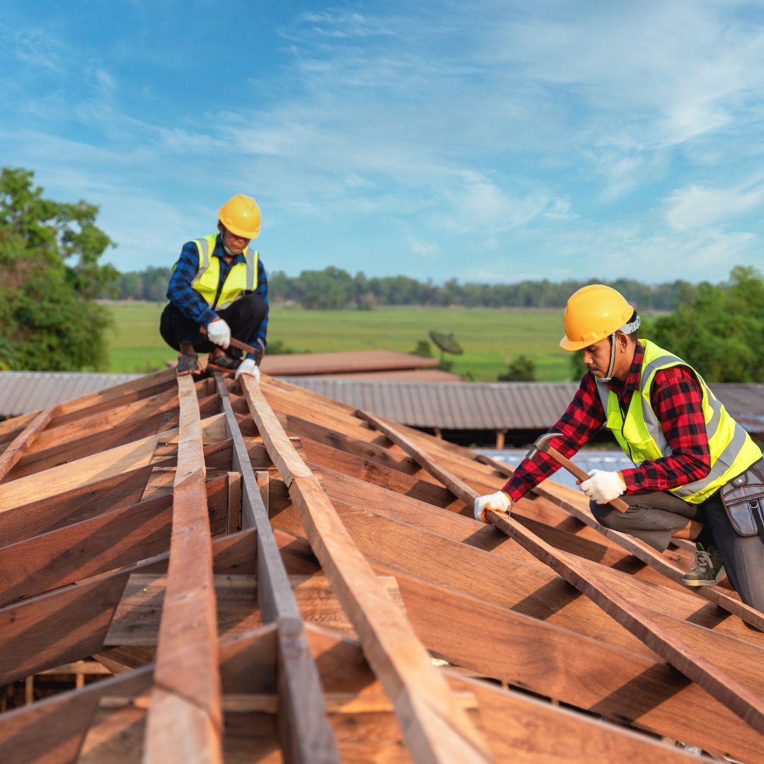 How do you remove moss and debris from roofs?