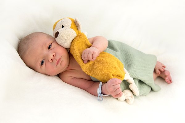 Photo Aviel Rex