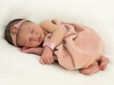 Photo Elea