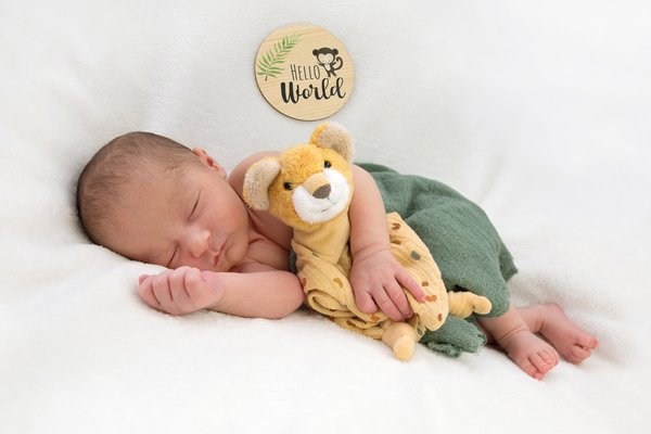 Photo Finn