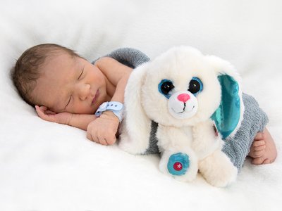 Photo Leonis