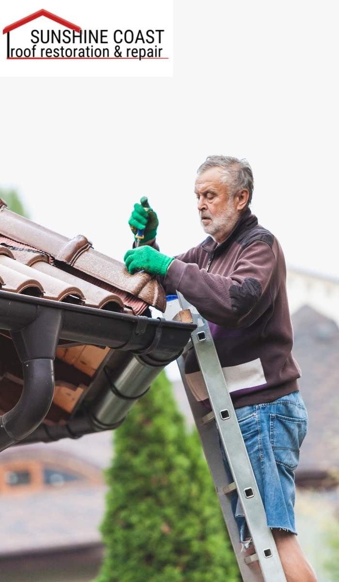 The Process of Roof Painting and Sealing Explained