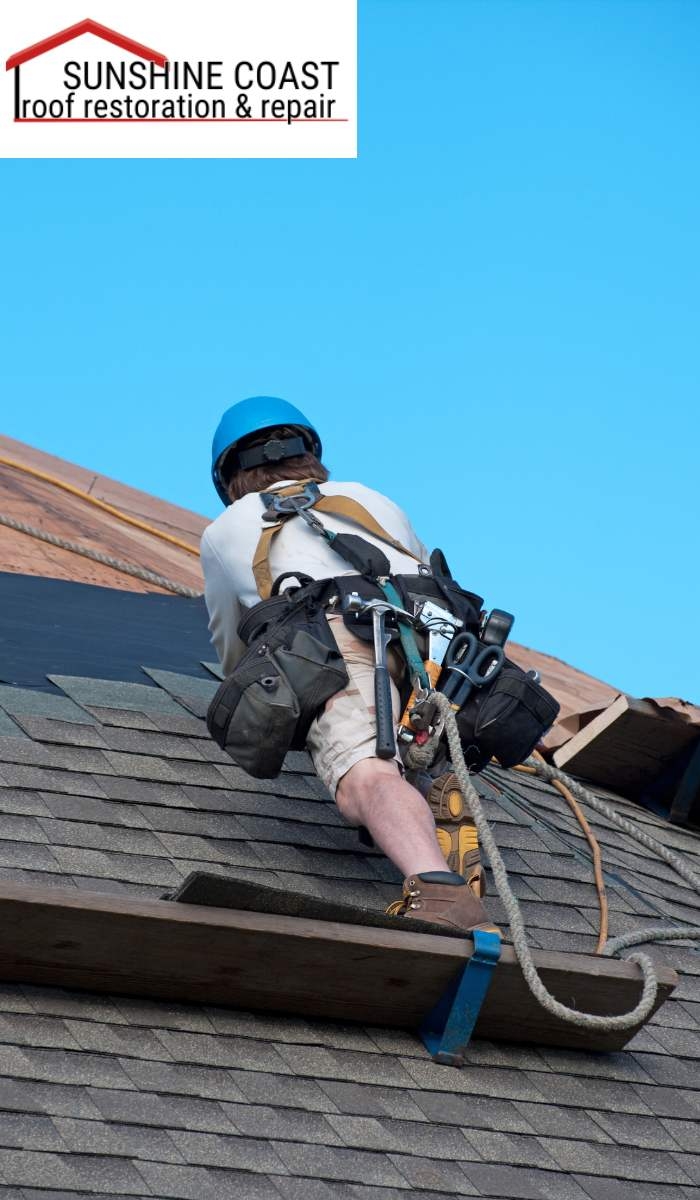 Why should I choose professional roof restoration services?