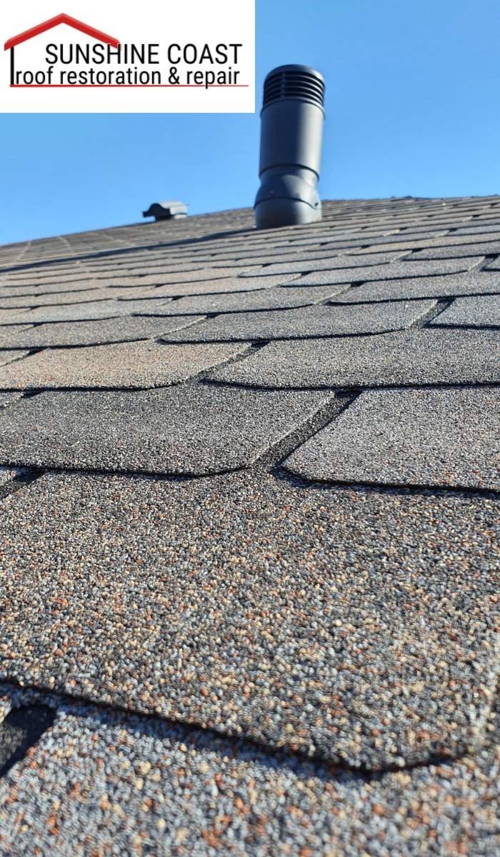 The Benefits of Mold and Algae Removal for Your Roof