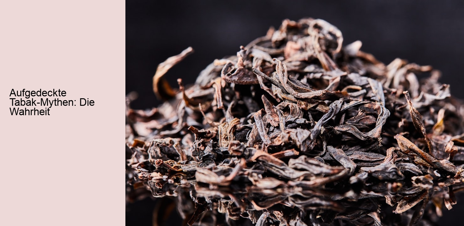 Aufgedeckte Tabak-Mythen: Die Wahrheit