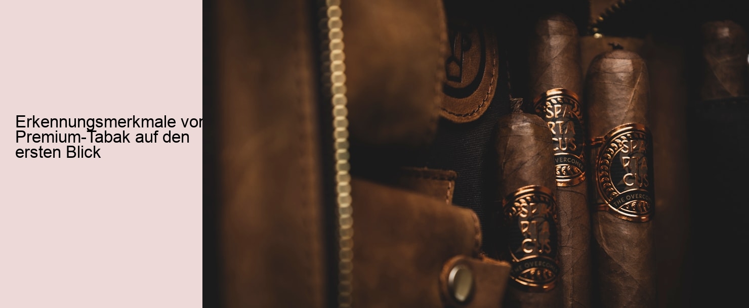 Erkennungsmerkmale von Premium-Tabak auf den ersten Blick