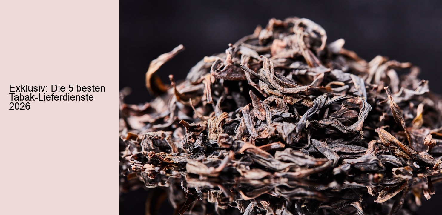 Exklusiv: Die 5 besten Tabak-Lieferdienste 2026