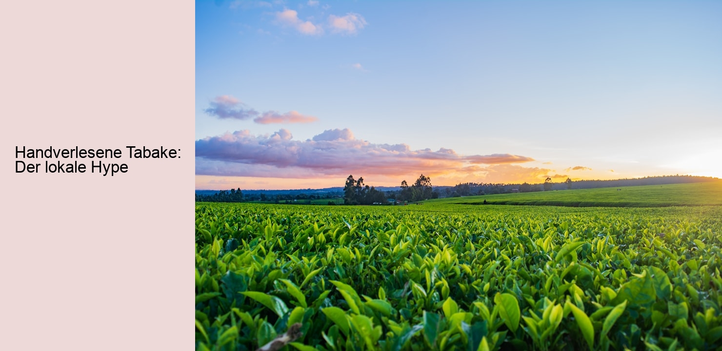 Handverlesene Tabake: Der lokale Hype