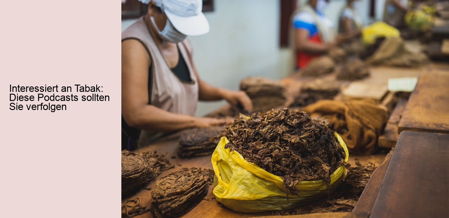 Interessiert an Tabak: Diese Podcasts sollten Sie verfolgen