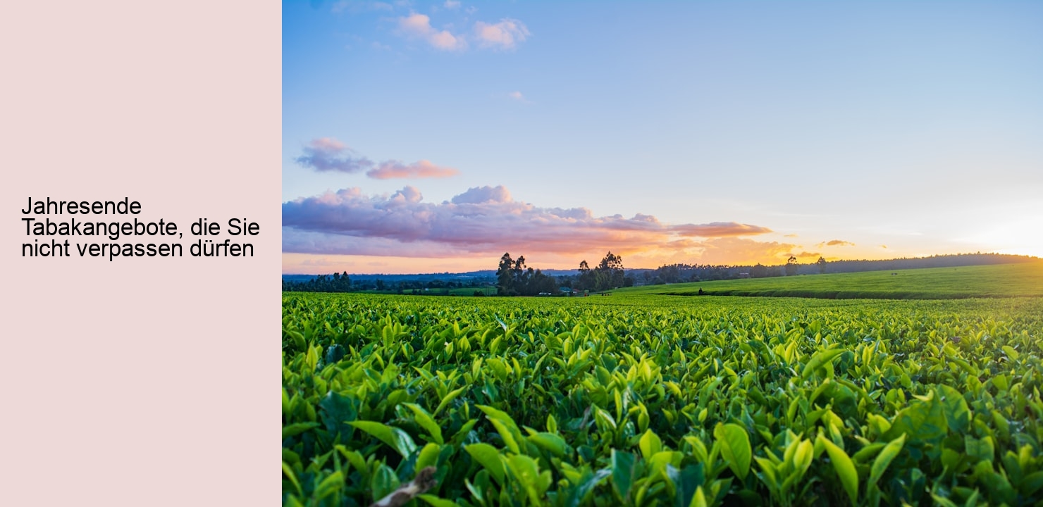 Jahresende Tabakangebote, die Sie nicht verpassen dürfen