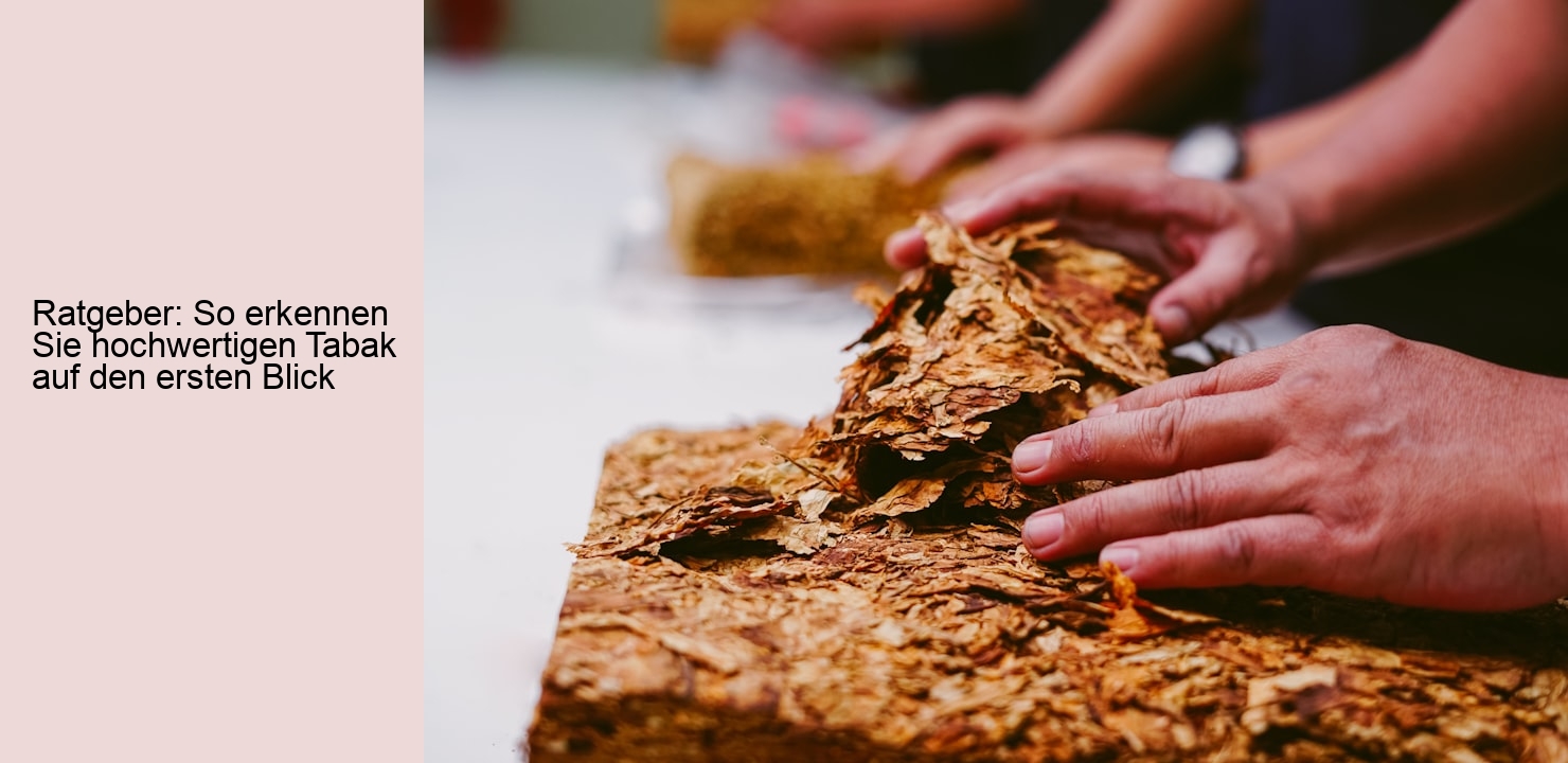 Ratgeber: So erkennen Sie hochwertigen Tabak auf den ersten Blick
