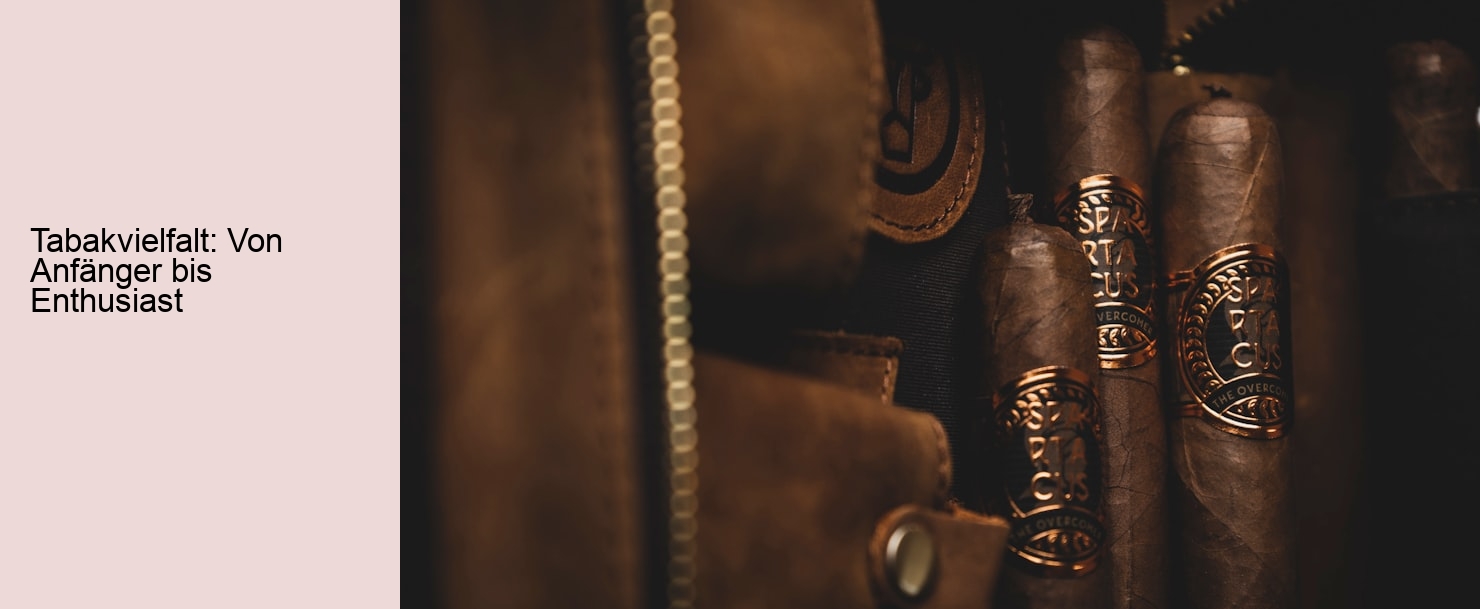 Tabakvielfalt: Von Anfänger bis Enthusiast