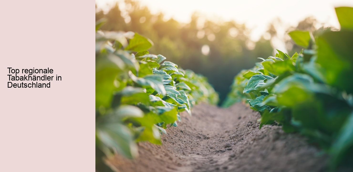 Top regionale Tabakhändler in Deutschland