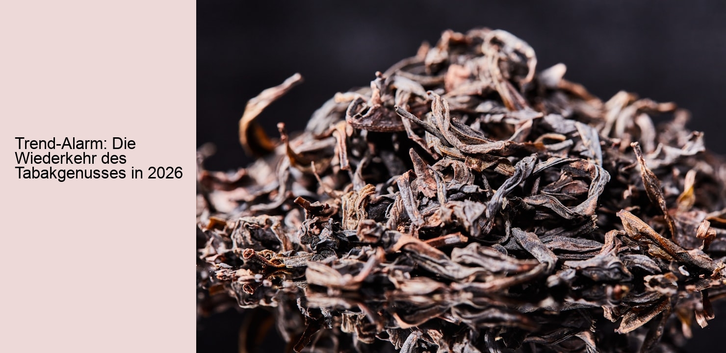 Trend-Alarm: Die Wiederkehr des Tabakgenusses in 2026