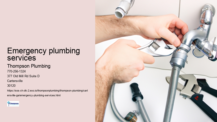Emergency plumbing services