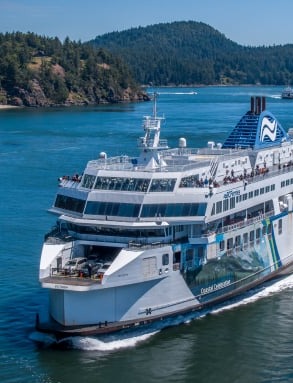 Downtown Victoria Sightseeing Expert Guides Guided Tour