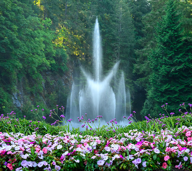Victoria Chauffeur-Driven Tours Family-Friendly Tour Services